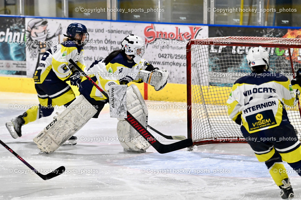 LADY HAWKS vs. WILDCATS PATERNION | #33 Oberauner Marianne Wildcats Paternion, LADY HAWKS vs. WILDCATS PATERNION, LADY HAWKS vs. WILDCATS PATERNION am 12.03.2025 in Steindorf (Ossiachersee Halle), Austria, (Photo by Bernd Stefan)