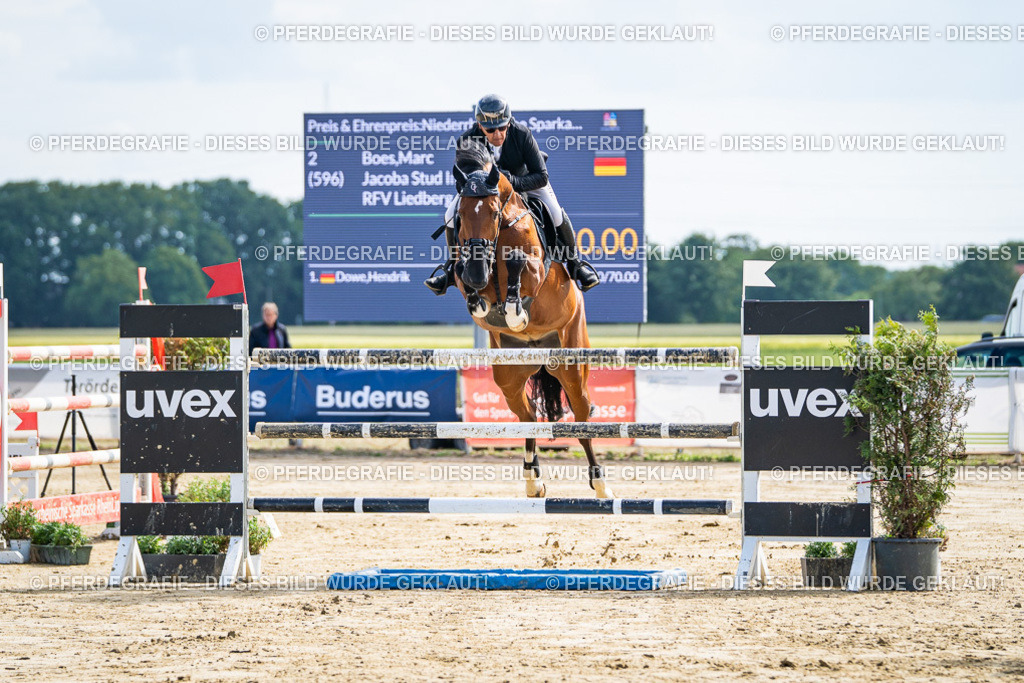 DSC06626 | Pferdegrafie