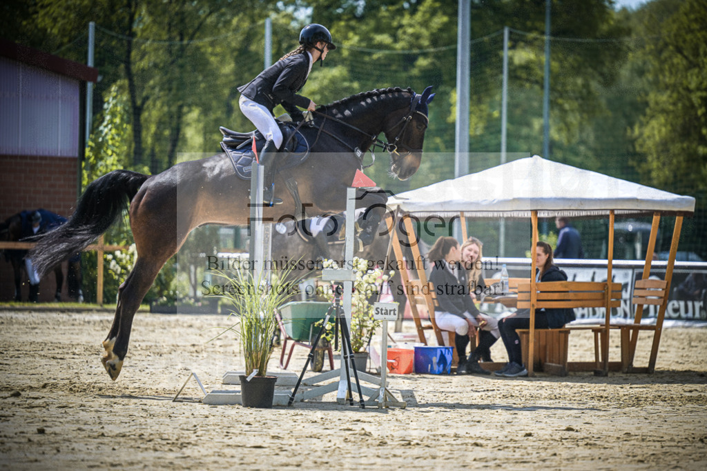 DOS_9675 | Entdecke hochwertige Reitturnierfotos von Foto Oger. Professionell, emotional und authentisch – jetzt Lieblingsmomente im Shop bestellen.Deutschlandweite Turnierfotografie. - Realisiert mit Pictrs.com