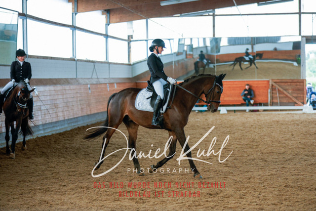 _62_6194 | Turniersportfotografie; Pferdefotografie; Dressurfotografie