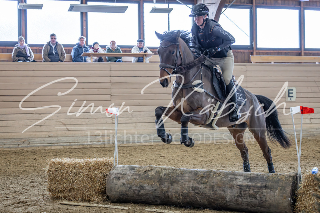 20260221-_3LI0365 | Tierfotografie Pferde, Hunde, Katzen, Haustiere.
Turnierfotografie Reitturniere, Reiten, Springreiten, Dressur in Hanau, dem Main-Kinzig-Kreis und dem Rhein-Main- Gebiet um Frankfurt