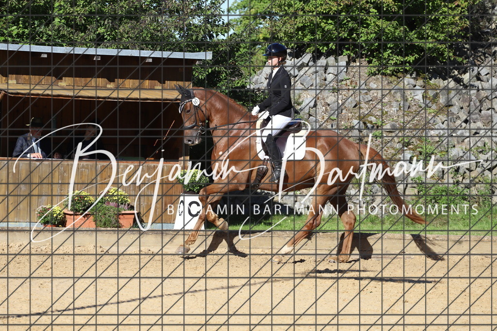 IMG_5142 | Benjamin Bartmann Photomoments