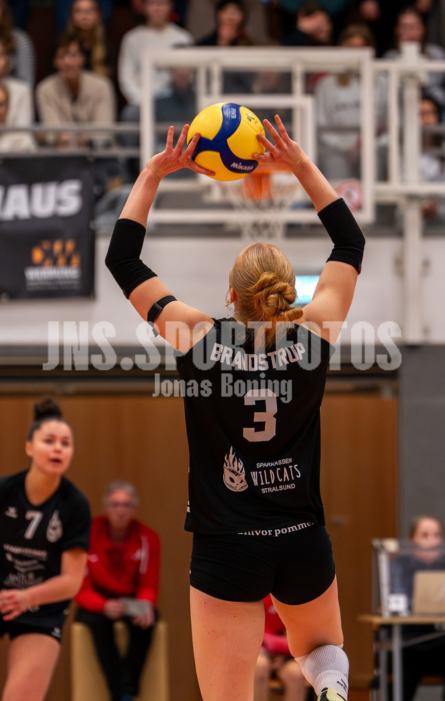 Volleyball I Frauen I Saison 2025-2026 I 2 Bundesliga Pro I 17. Spieltag VFL Oythe - VC Stralsund I 1685 | Gesa Brandstrup (3,VC Stralsund) - Realisiert mit Pictrs.com
