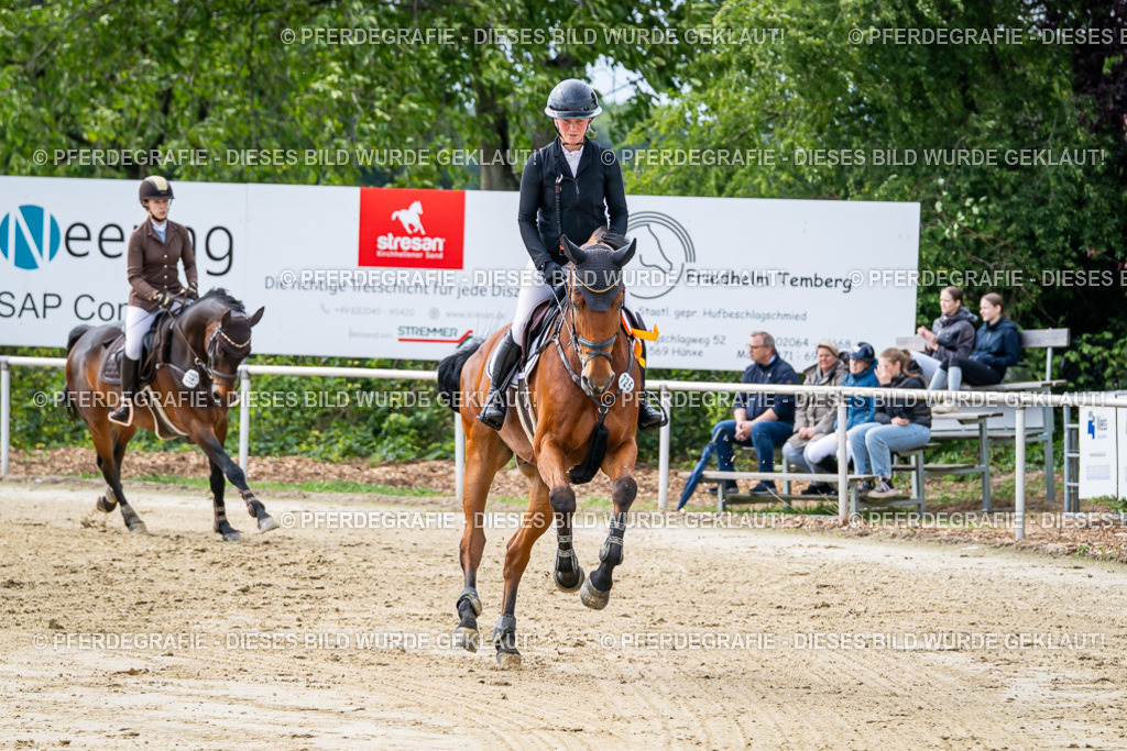 DSC05711 | Pferdegrafie