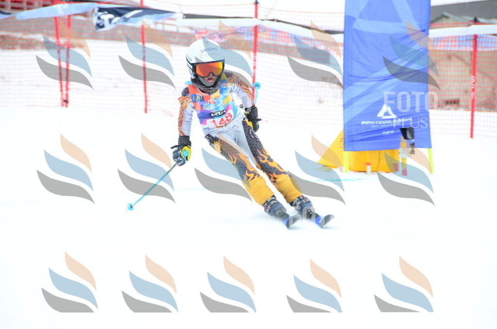 DSC_1436 | holidayphoto