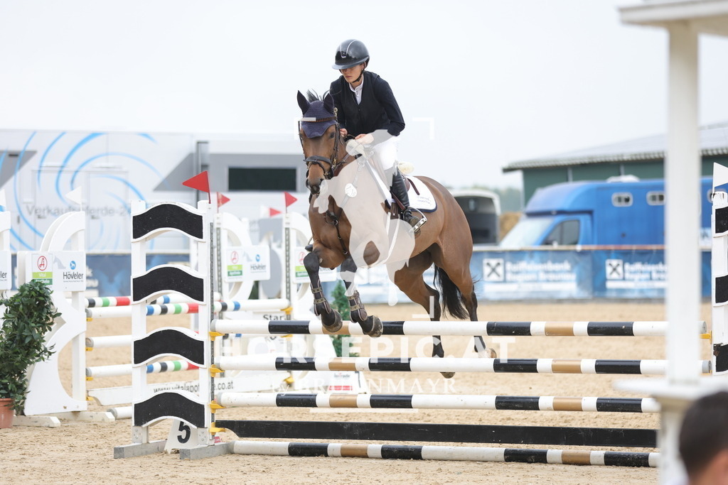 0P6A1796 | Willkommen bei Brunnmayr - Design & Fotografie – Ihrem Spezialisten für Reitturniere und Pferdeveranstaltungen in Oberösterreich, Salzburg und Bayern! Seit über 17 Jahren sind wir leidenschaftlich dabei.