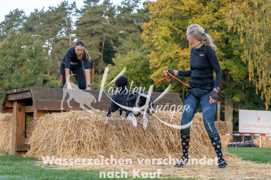 0859_ZZ92025 | kk-dogfotos