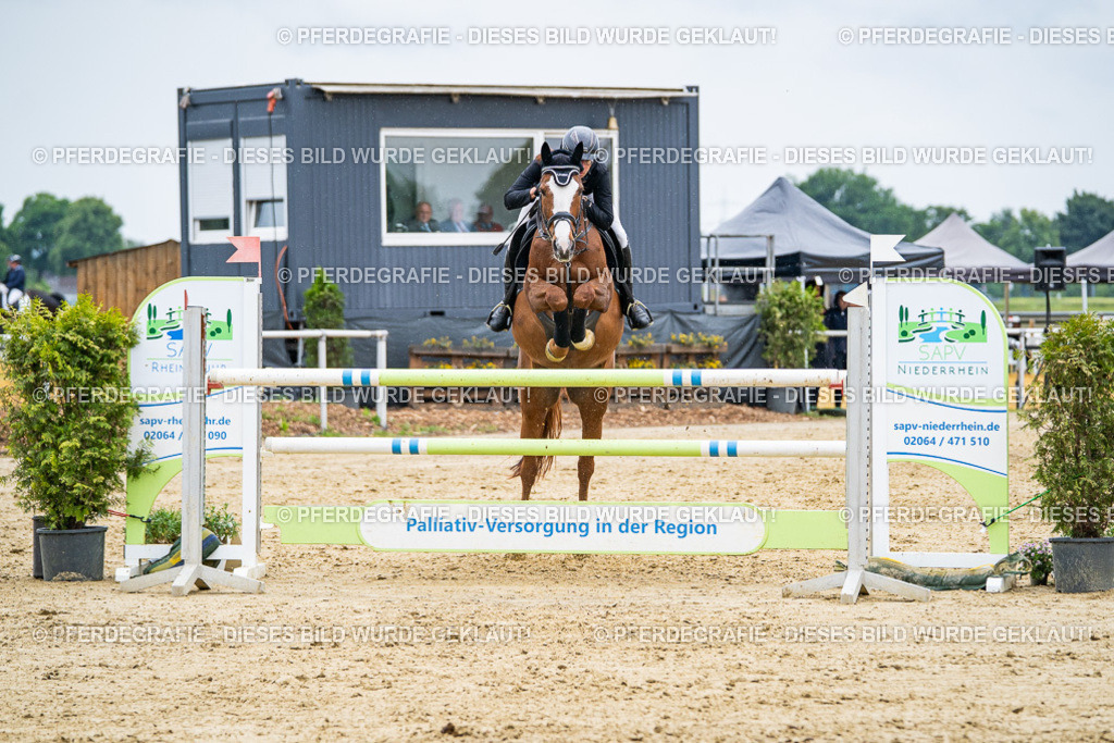 DSC09416 | Pferdegrafie