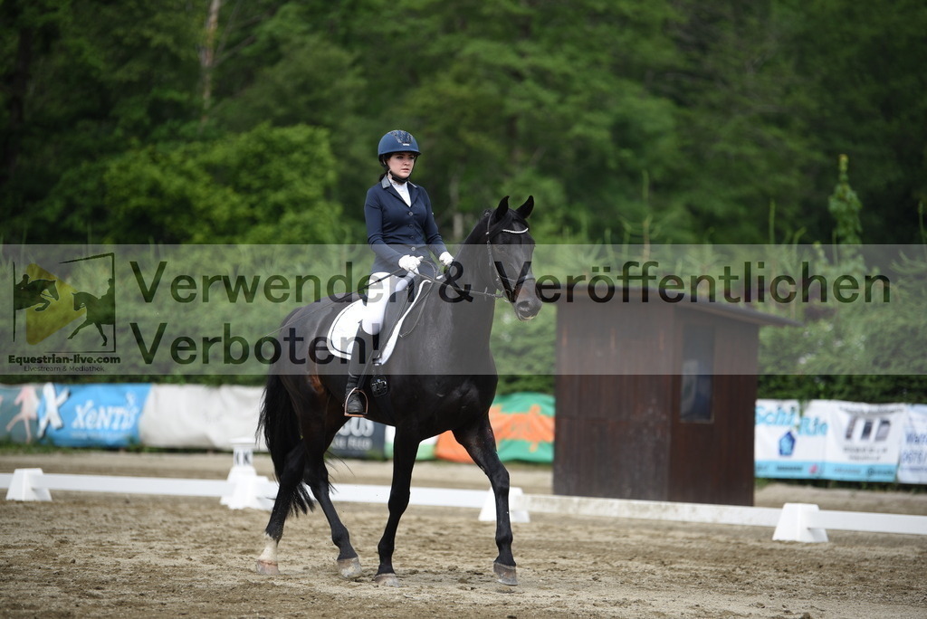 DSC_8388 | equestrian-live-com