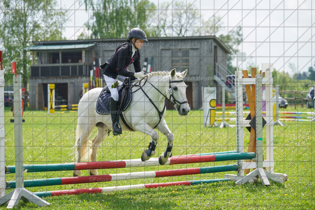 20240509-FAH02318 | Turnierbilder der Turnierfotografen Bayern, Pferdesport Fotografie, Reitsportbilder, Turnier Landberg am Lech, Turnierbilder bayern, Fotoagentur Herrmann