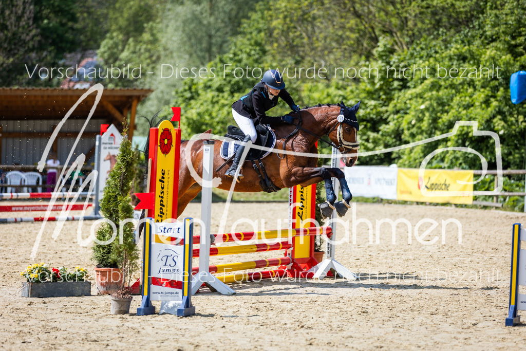 Donop24-SprRW-026 | MomenTaufnahmen Pferdesportfotos