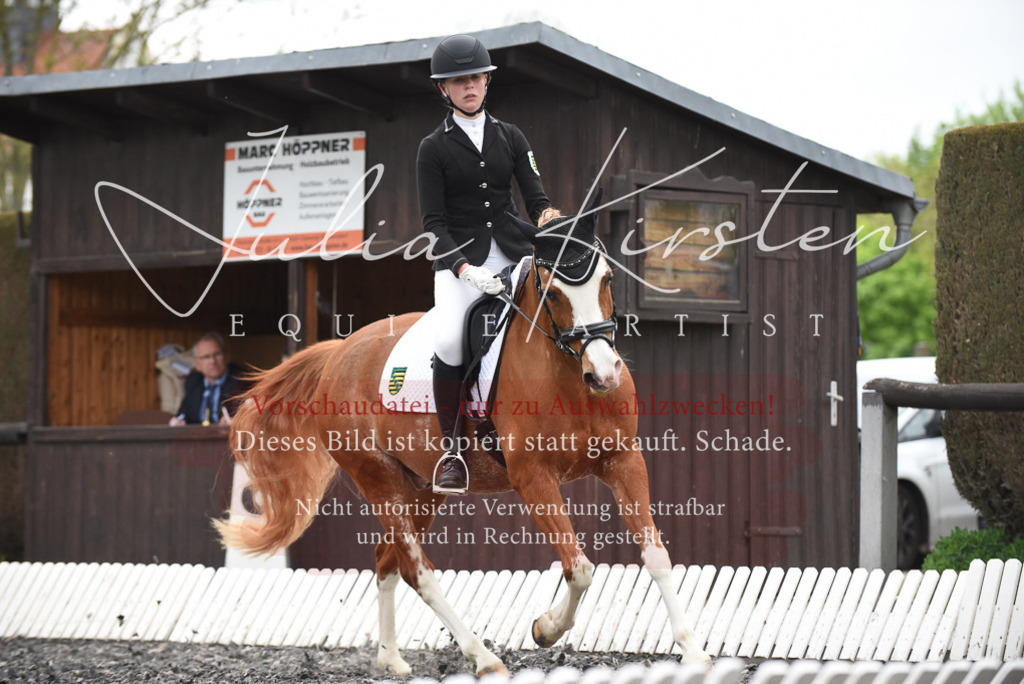 20230513_JK-Röhrsdorf-15-445 | Pferde- und Turnierfotografie in Westsachsen. Pferdeportraits, Auftragszeichnungen und intuitive Kunst.