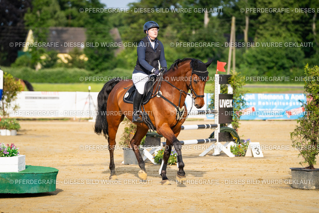 DSC02407 | Pferdegrafie