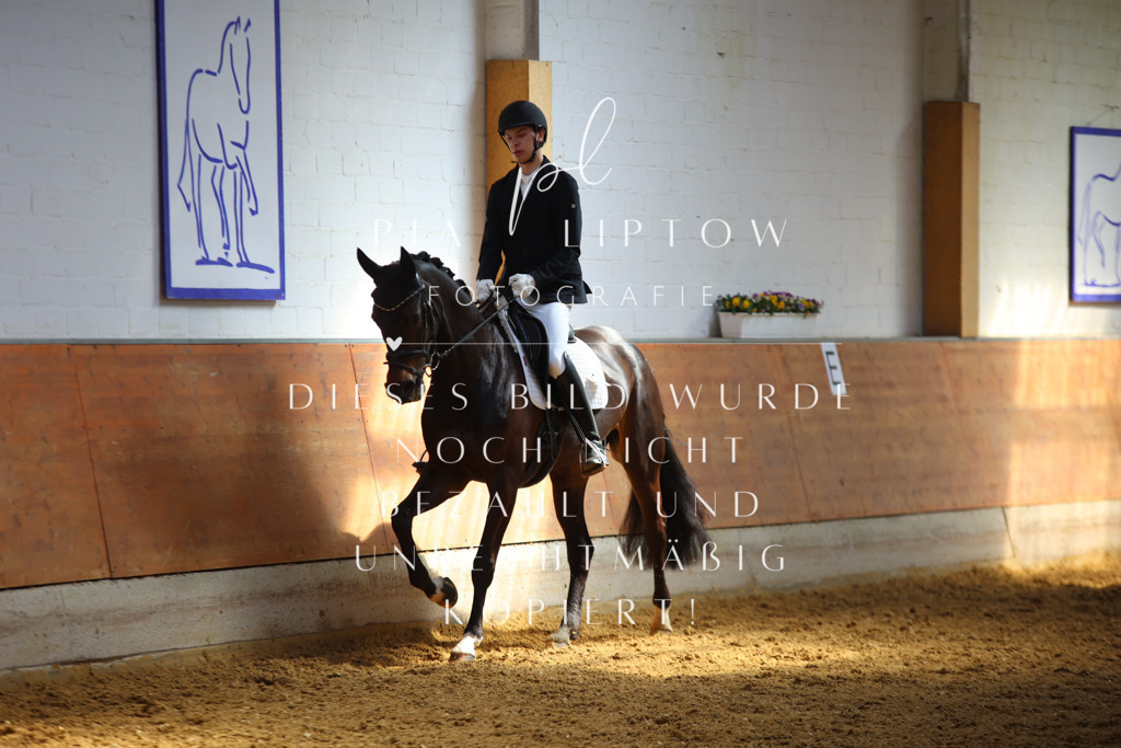 IMGT7606 | pl-fotografie