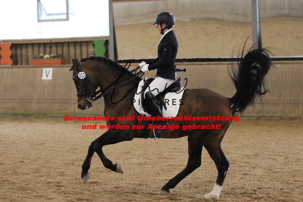 IMG_8992 | lmwpictures - Realisiert mit Pictrs.com