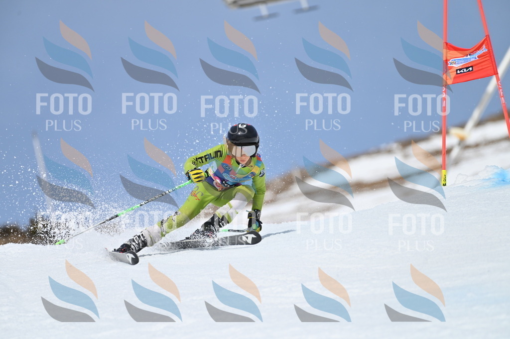 BGV_2980 | holidayphoto