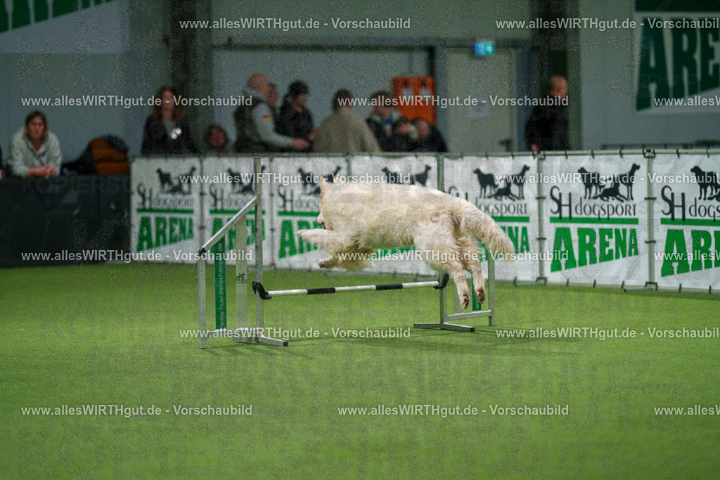 7R504181 | Professionelle Tierfotografie in Mönchengladbach von Daniel Wirth (allesWIRTHgut). Liebevolle & natürliche Bilder von Hunden & Katzen für unvergessliche Erinnerungen.