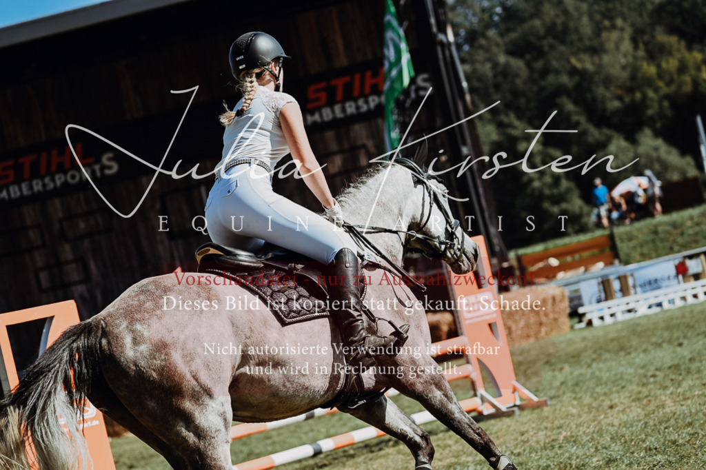 DSC_6796 | Pferde- und Turnierfotografie in Westsachsen. Pferdeportraits, Auftragszeichnungen und intuitive Kunst.