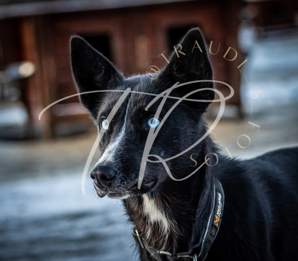 9F4FDDD7-1623-4324-9B08-65EADB2F26BE | traudl_s_fotos