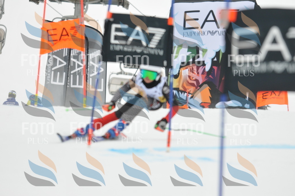 DSC_8240 | holidayphoto