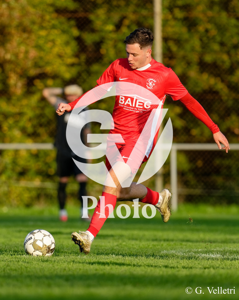 DZ9_1562 | Velletri Photo