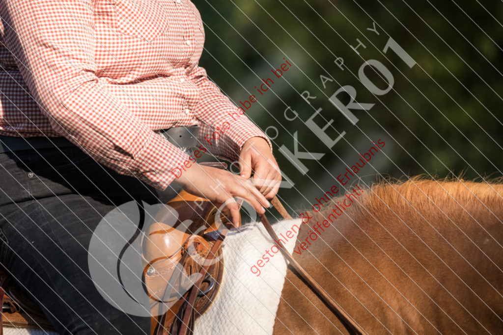 IMG_6658 | Sport-, Event- und Tierfotos in Profiqualität. Einfach auswählen, bestellen und herunterladen. Dein Moment – perfekt festgehalten.