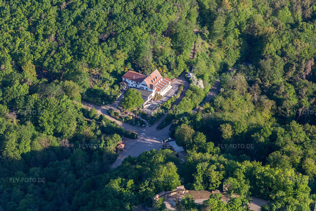 Luftbild: Burgschänke Rittersberg im Ortsteil Hambach an der Weinstraße in Neustadt im Bundesland Rheinland-Pfalz in Deutschland. Foto: IMG_120597.jpg vom 26.04.2020 durch Werner Riehm/FLY-FOTO.de