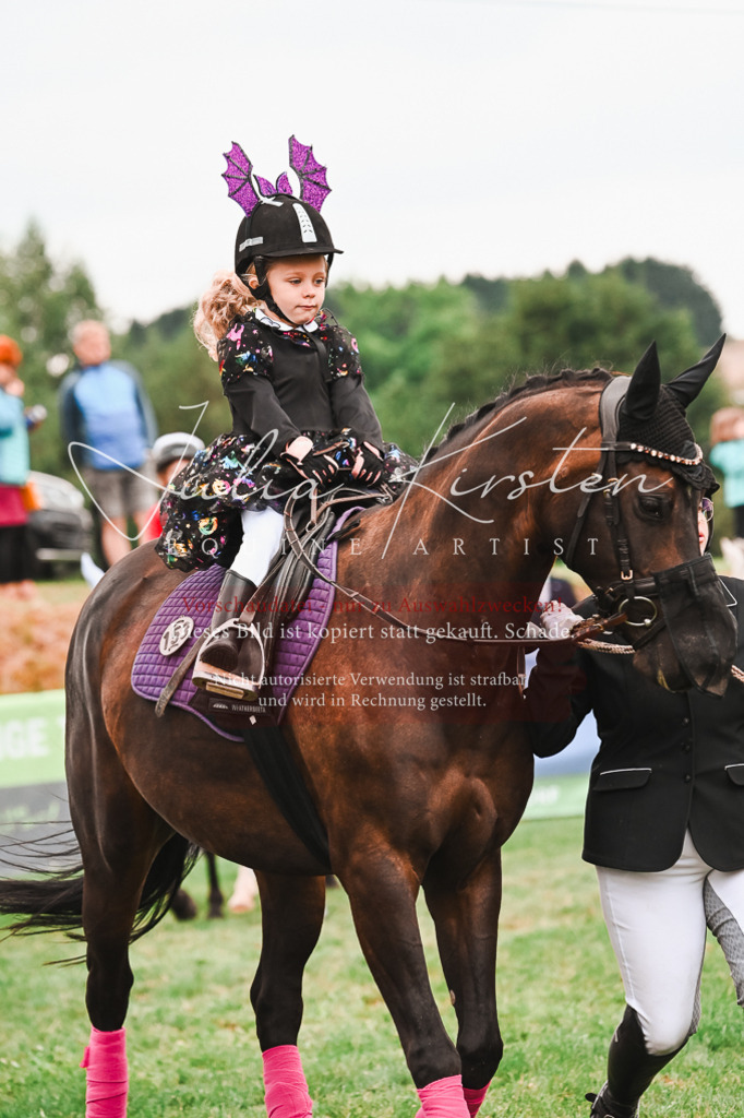 DSC_7613 | Pferde- und Turnierfotografie in Westsachsen. Pferdeportraits, Auftragszeichnungen und intuitive Kunst.