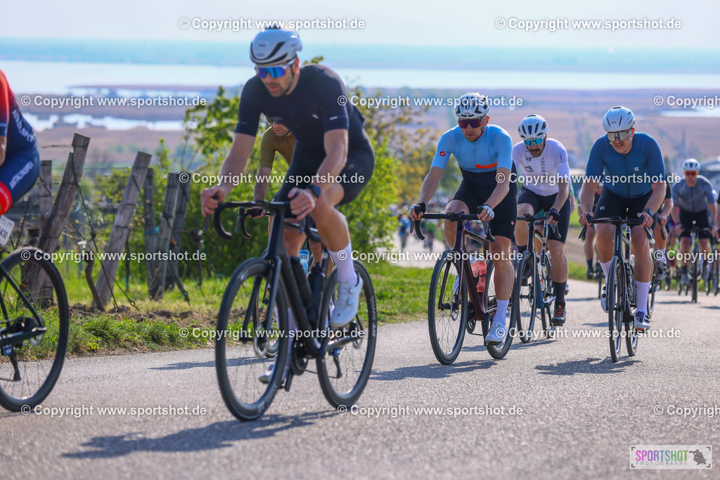 TRA_0479 | Neusiedlersee Radmarathon 2026@sportshot_your_pictrs #yourpictures#roadtowm2029 #nrm #neusiedlerseeradmarathon #neusiedlersee #neusiedlerseetourismus #burgenland #mörbisch #nrm26 #burgenlandtourismus #voglundco #poweredbyburgenlandtourismus #radsport #rad #marathon #ucigranfondo #visitburgenland #ucigranfondoworldseries