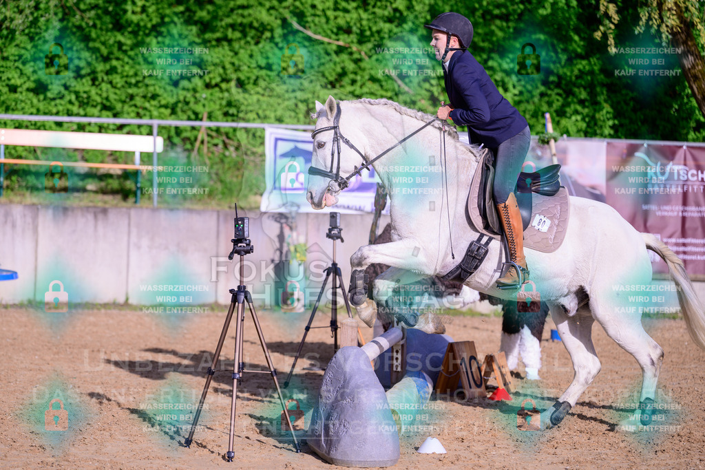 02052026-Giesenbach-03-Speedtrail-0364 | Fokus Hufschlag Fotografie - Realisiert mit Pictrs.com