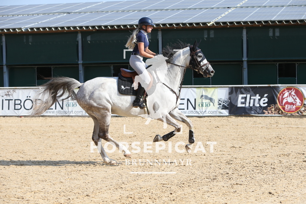 DL2Q0151 | Willkommen bei Brunnmayr - Design & Fotografie – Ihrem Spezialisten für Reitturniere und Pferdeveranstaltungen in Oberösterreich, Salzburg und Bayern! Seit über 17 Jahren sind wir leidenschaftlich dabei.