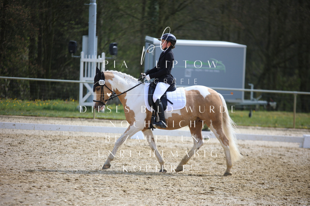 IMGT4326 | pl-fotografie