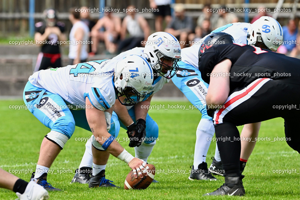 Carinthian Lions vs. Styrian Bears | Carinthian Lions vs. Styrian Bears, Carinthian Lions vs. Styrian Bears am 20.05.2024 in Klagenfurt (ASV Sportplatz), Austria, (Photo by Bernd Stefan)
