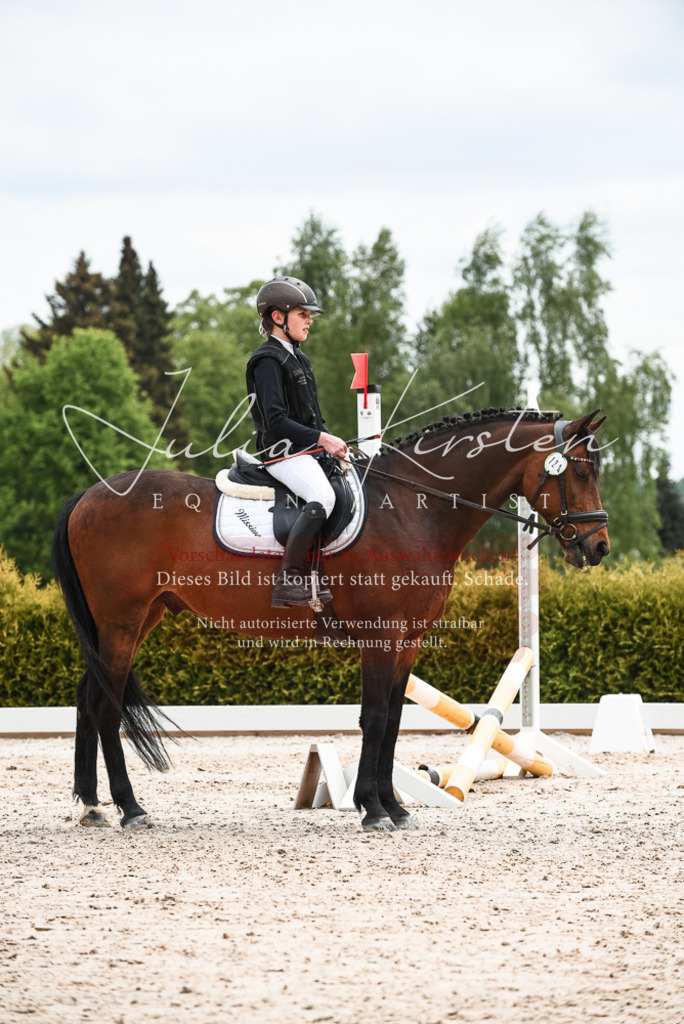 20230518_JK-Röhrsdorf-10-736 | Pferde- und Turnierfotografie in Westsachsen. Pferdeportraits, Auftragszeichnungen und intuitive Kunst.