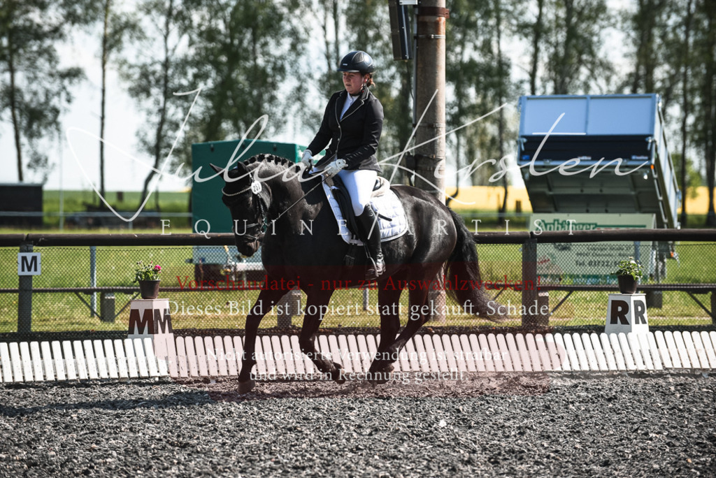 DSC_8813 | Pferde- und Turnierfotografie in Westsachsen. Pferdeportraits, Auftragszeichnungen und intuitive Kunst.