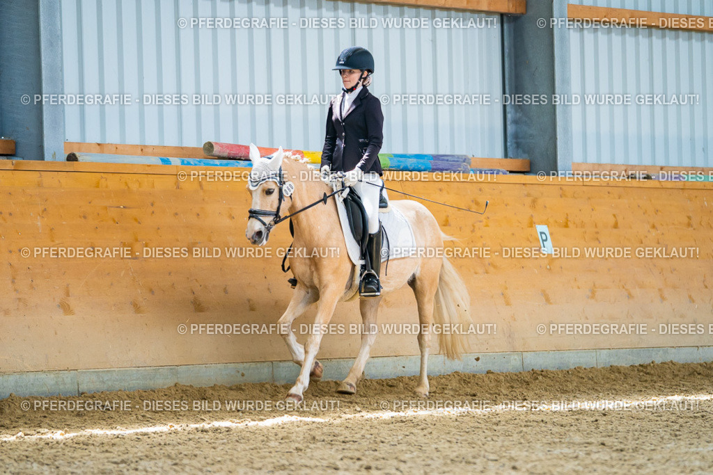 DSC09654 | Pferdegrafie