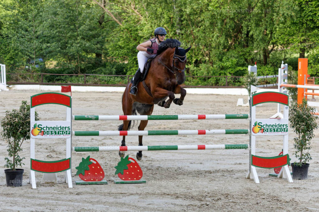 JHE34578 | JoYa Fotografie - Realisiert mit Pictrs.com