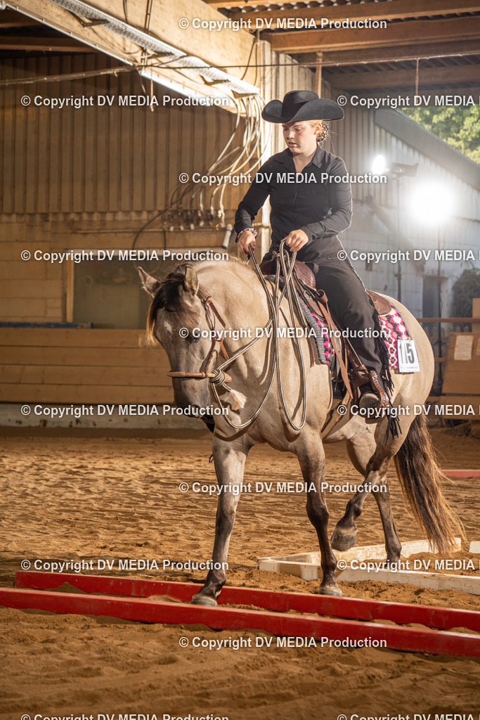 NID02512 | dv-media-shop - Realisiert mit Pictrs.com