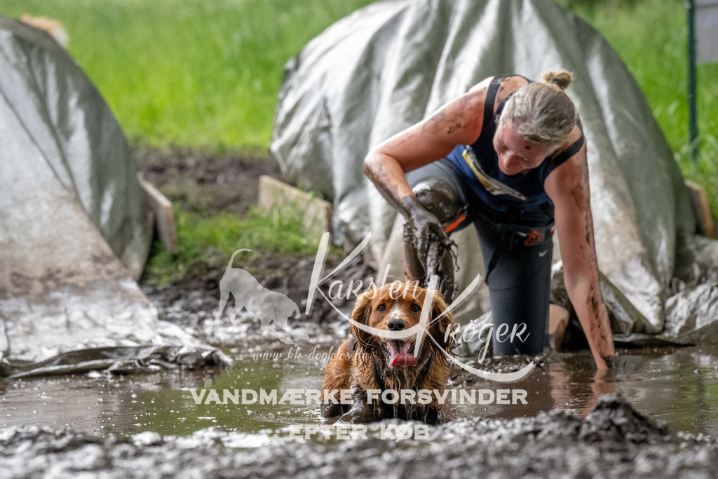 1501_ZZ91574-Bearbeitet | kk-dogfotos