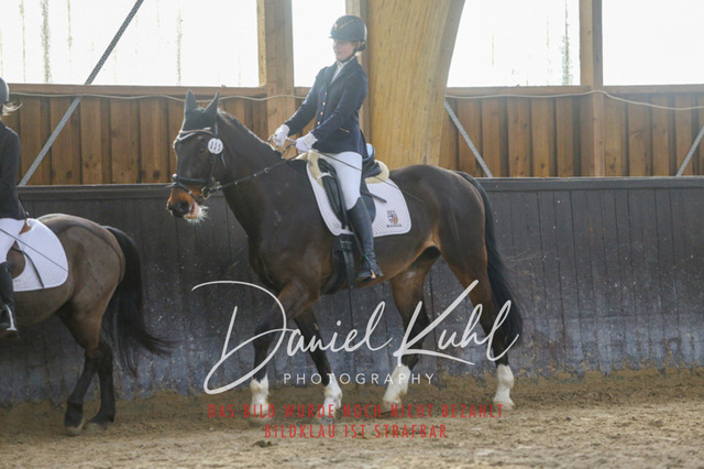 IMG_1335 | Turniersportfotografie; Pferdefotografie; Dressurfotografie