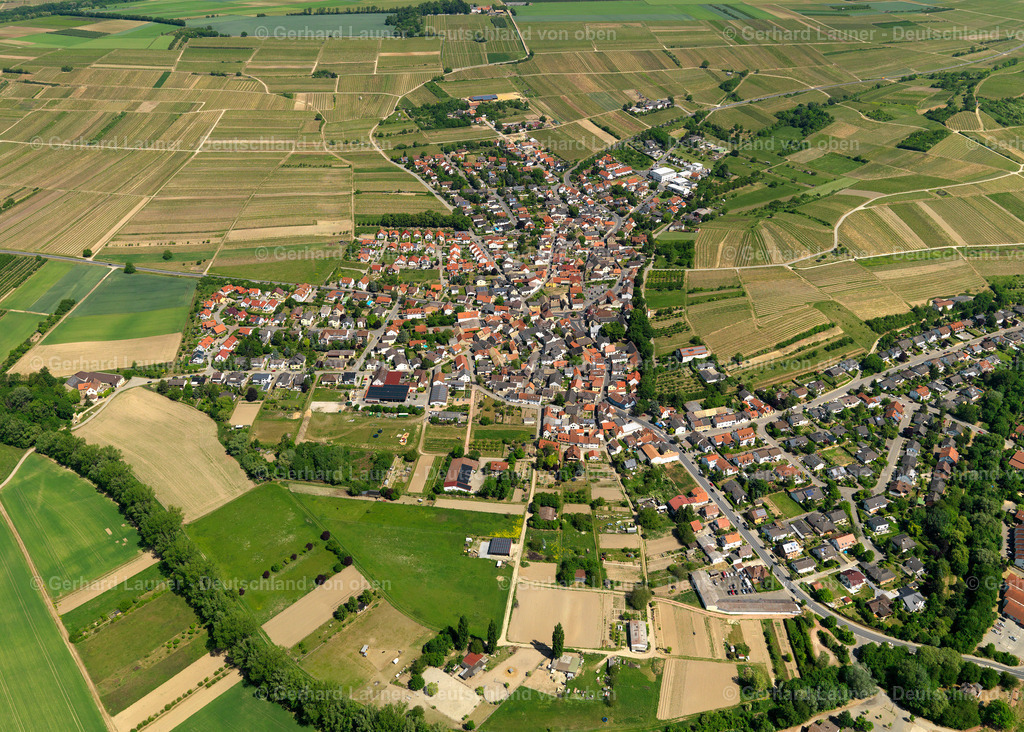 3134152-Elsheim | Elsheim