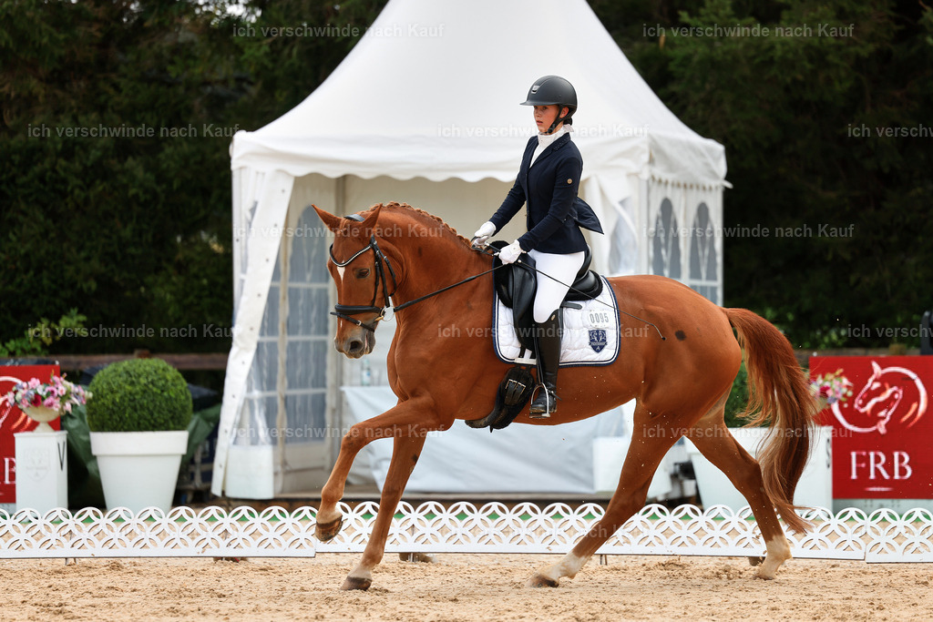 02-095-DRESSUR L_  -StoibPH-4712 | working equitationturnier fotograf videograf stoibphotography marixx film working equitation deutschland reitsport turnierfotografie eventfotografie equestrian events