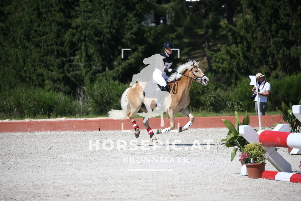 DL2Q0138 | Willkommen bei Brunnmayr - Design & Fotografie – Ihrem Spezialisten für Reitturniere und Pferdeveranstaltungen in Oberösterreich, Salzburg und Bayern! Seit über 17 Jahren sind wir leidenschaftlich dabei.