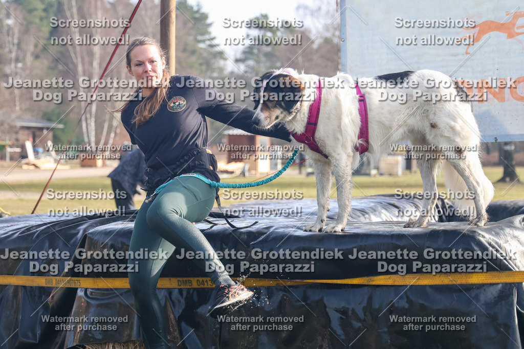 Dog Paparazzi - Strongdog North Mrz26-265 | Dog Paparazzi Jeanette Grottendiek Fotografie & Videografie - Realisiert mit Pictrs.com