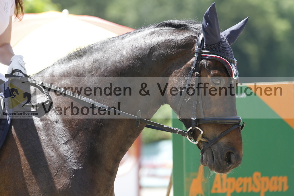 _MG_3753 | equestrian-live-com