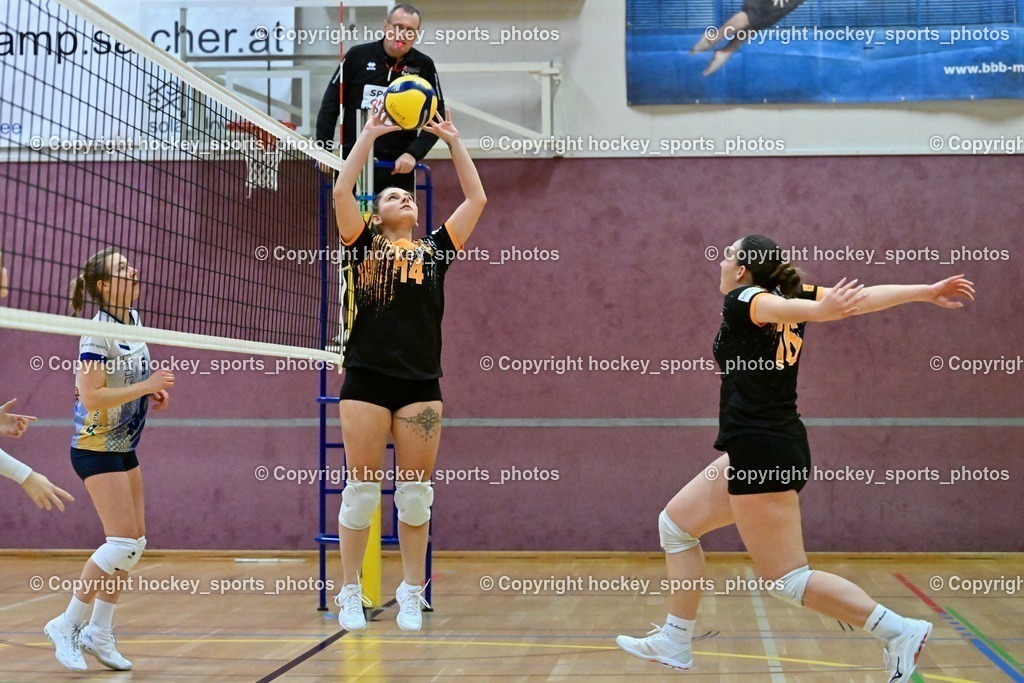 ASKÖ Volley Eagles vs. SSV HIB Volley 21.1.2024 | #9 Ann-Christina SCHMITZ, #14 Elwira CEHIC, #16 Tamy KÖFLER