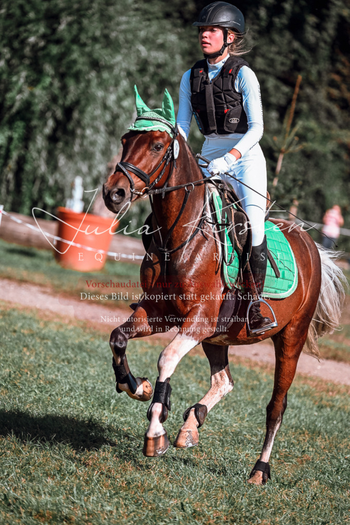 DSC_0861 | Pferde- und Turnierfotografie in Westsachsen. Pferdeportraits, Auftragszeichnungen und intuitive Kunst.