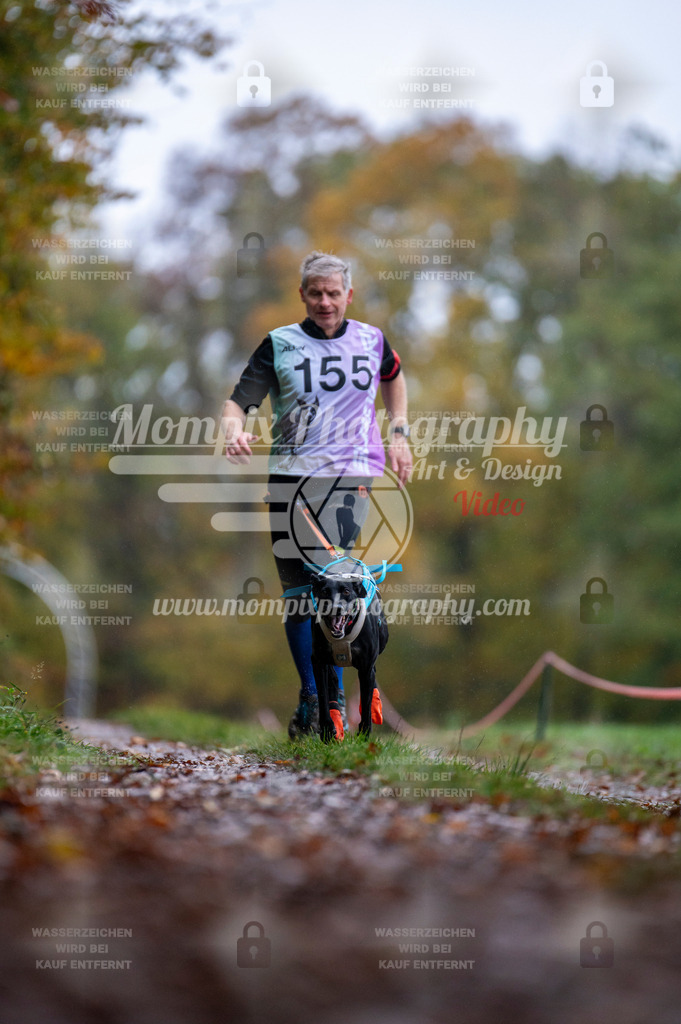 DBT_DAKM_SA_4_11_2023_Canicross-78 | PayLife