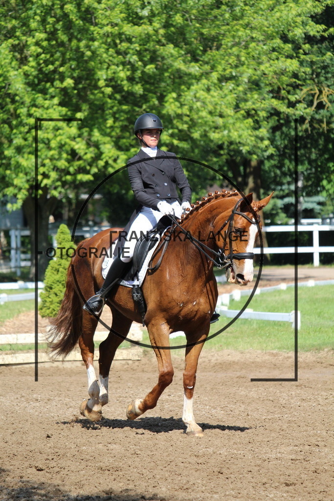 IMG_7153 | franziskalange - Realisiert mit Pictrs.com