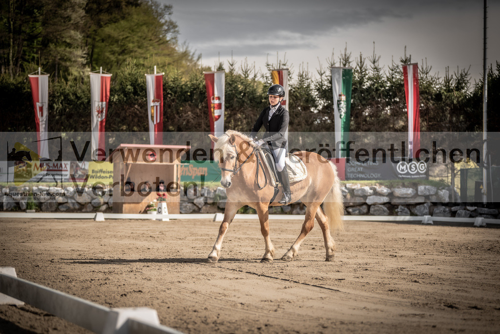 DSC_8730 | equestrian-live-com